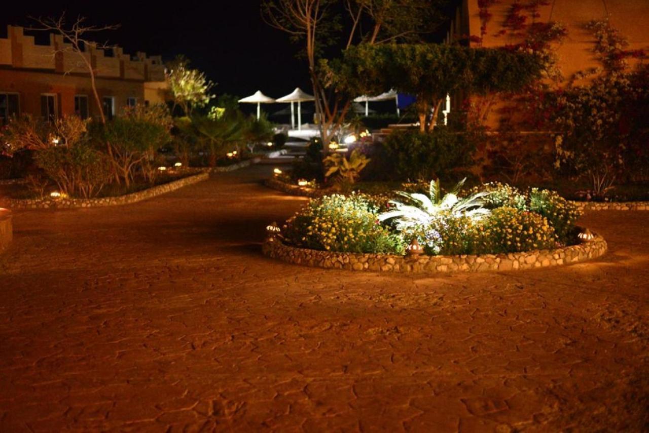Silver Beach Boutique Hotel (Adults Only) El Qoseir Exteriör bild