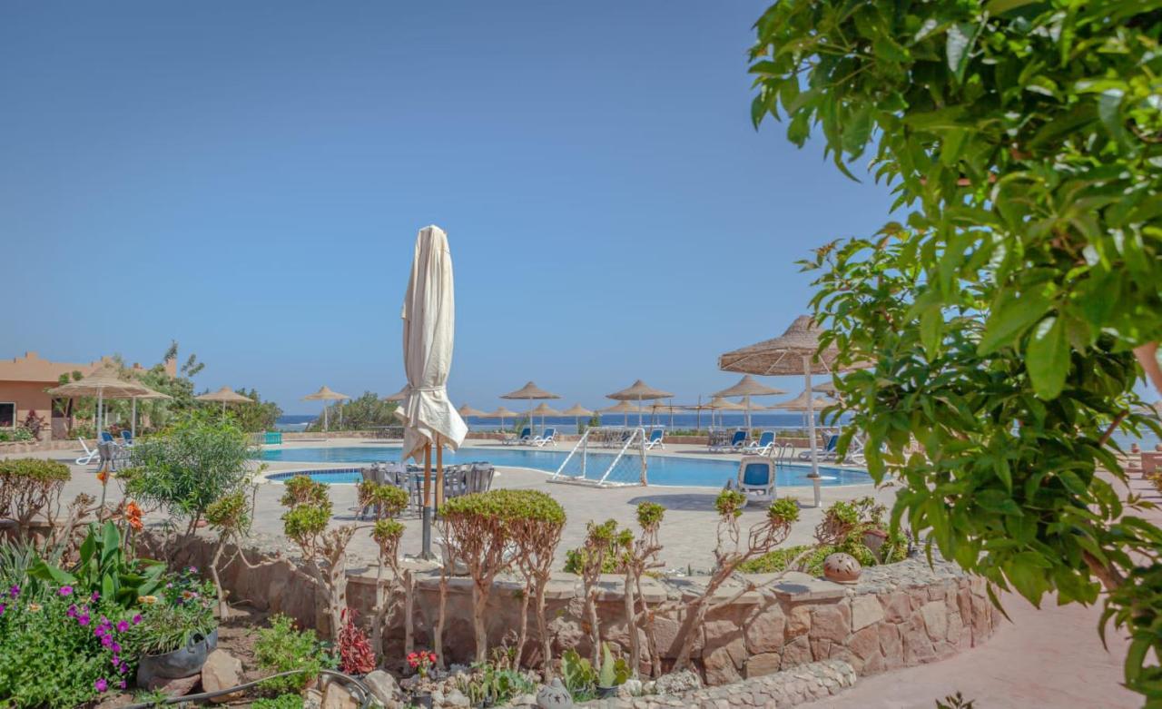 Silver Beach Boutique Hotel (Adults Only) El Qoseir Exteriör bild